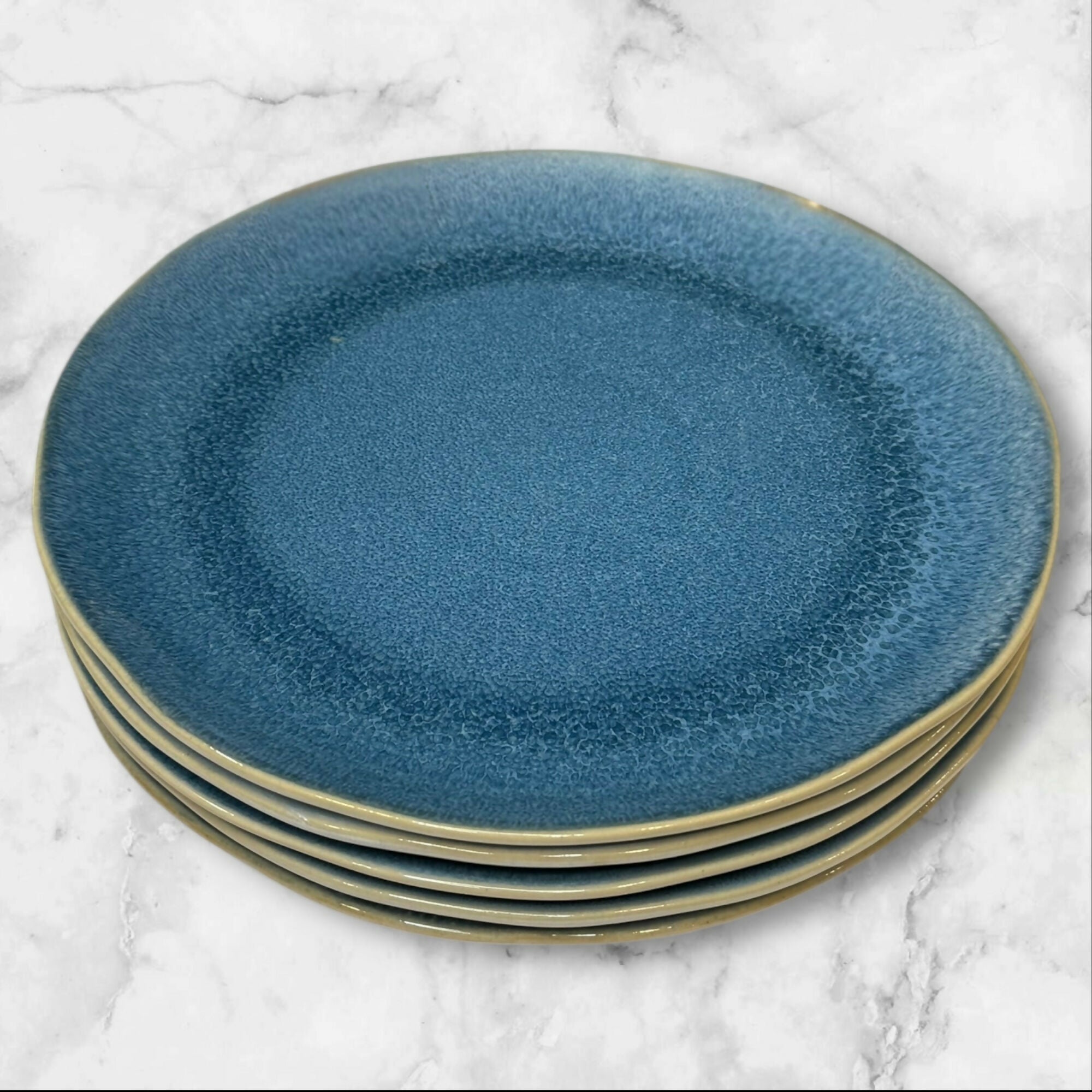 Bee & Willow Weston Blue Dinner Plates | Set of 5 | Excellent Condition