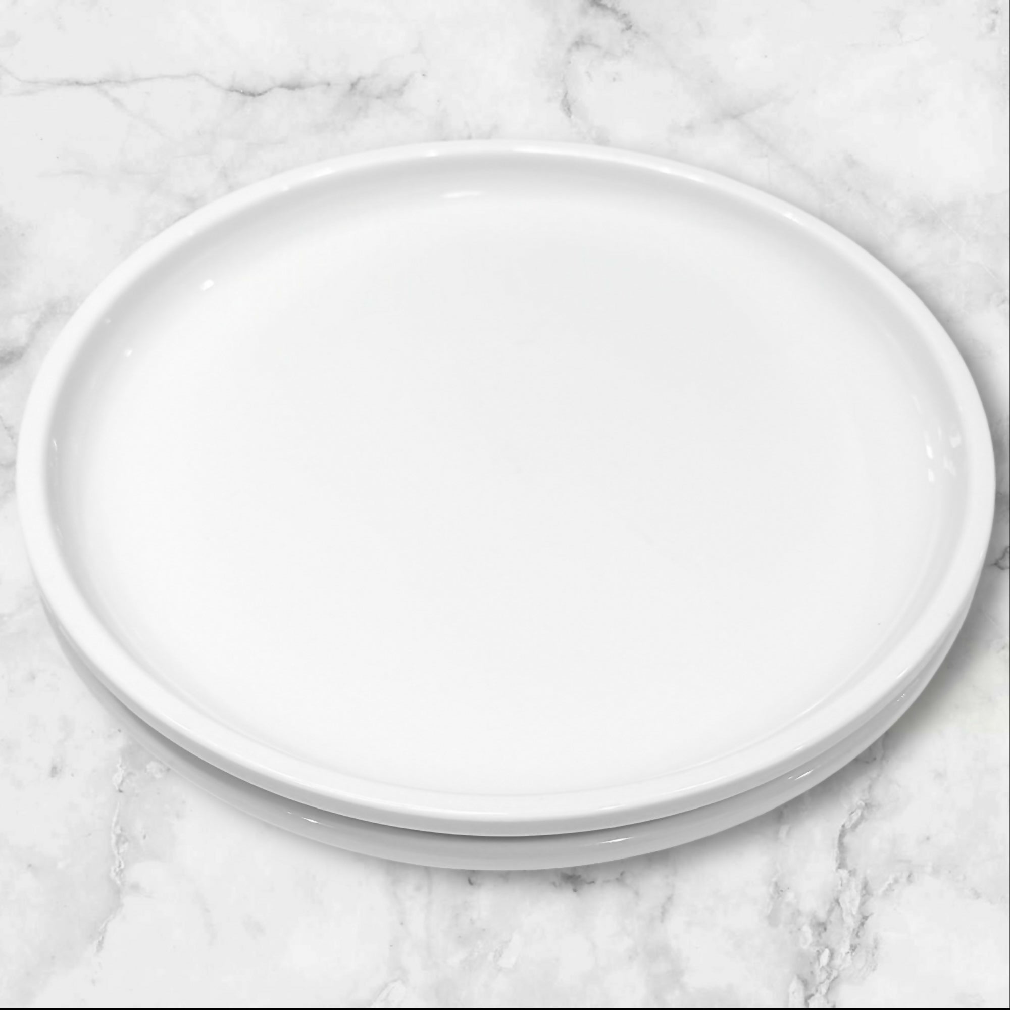 Crate & Barrel Culinary Arts Dinner Plates | Set of 2 | Good Condition